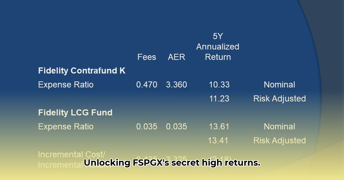is-fspgx-a-good-investment
